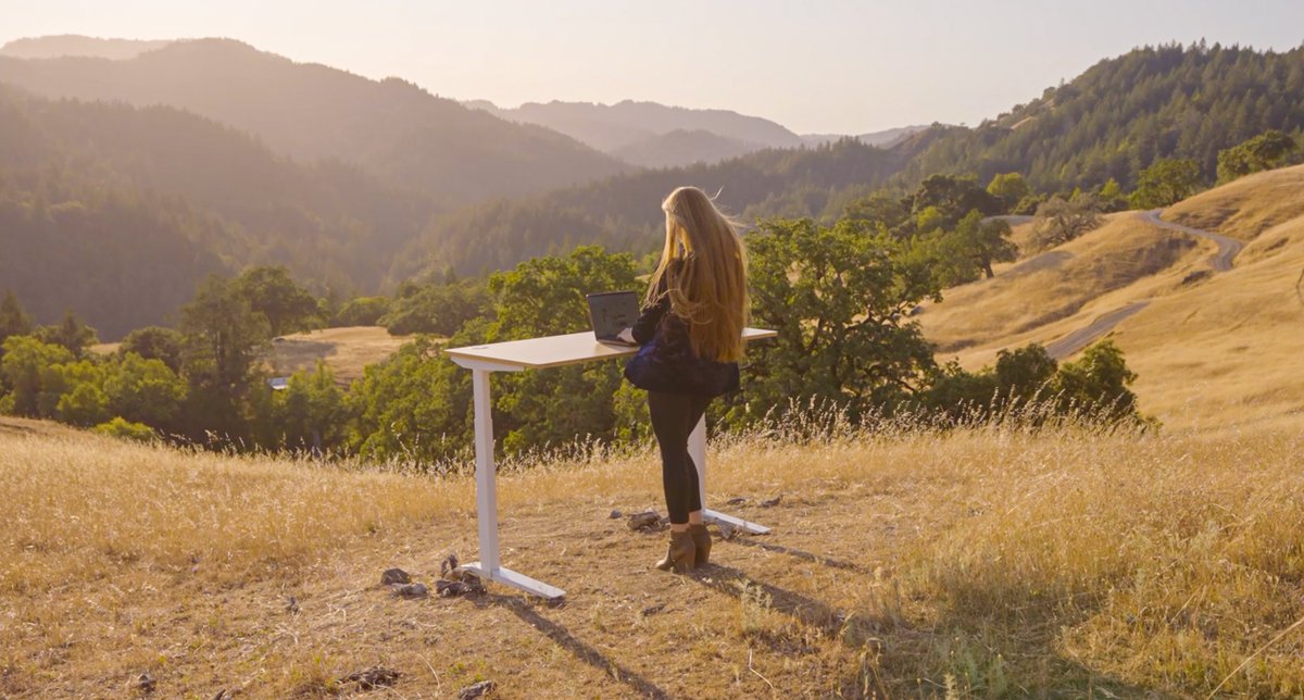 The Lotus Lab tweet media