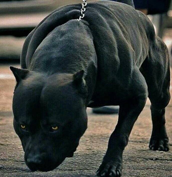 Jewelz. 🥀 tweet media