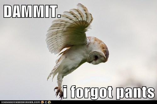 fleur_de_LA's tweet image. They call you into the office after wfh for a long time, and you keep forgetting pants.

 #HowToKnowWhenToRetire