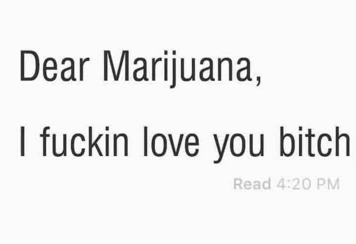 Ribera420's tweet photo. 🔥💚💚💚🔥💚💚💚🔥💚💚💚🔥#Mmemberville #StonerFam https://t.co/1I2Ff656q9