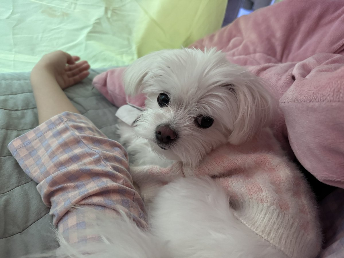 you_rbom's tweet photo. 전 이렇게..// https://t.co/KwBtG7izet
