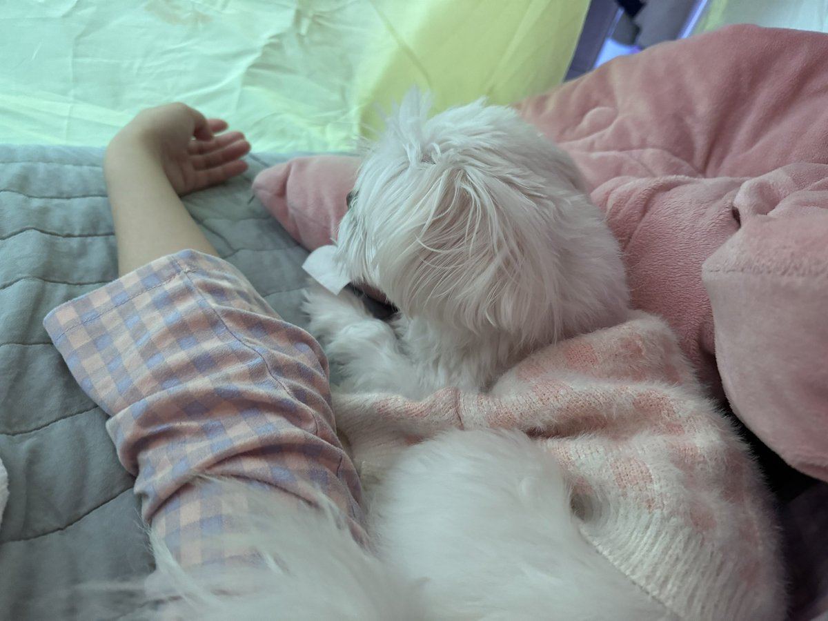 you_rbom's tweet photo. 전 이렇게..// https://t.co/KwBtG7izet