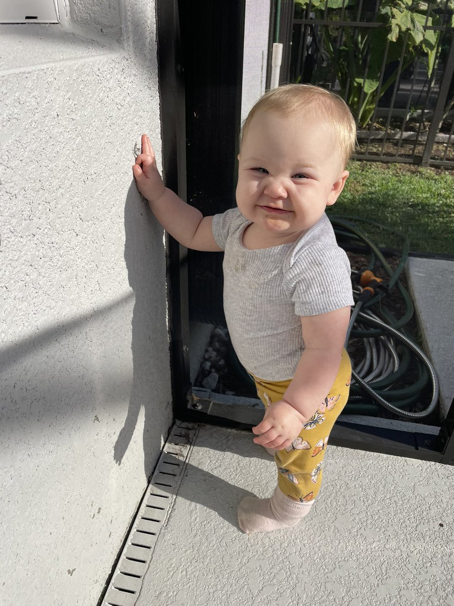 dancheer12's tweet photo. I haven’t gotten on Twitter in 7 months. Here’s Cece girl…. Angel baby. 🫶🏻 https://t.co/AmHbs5046j