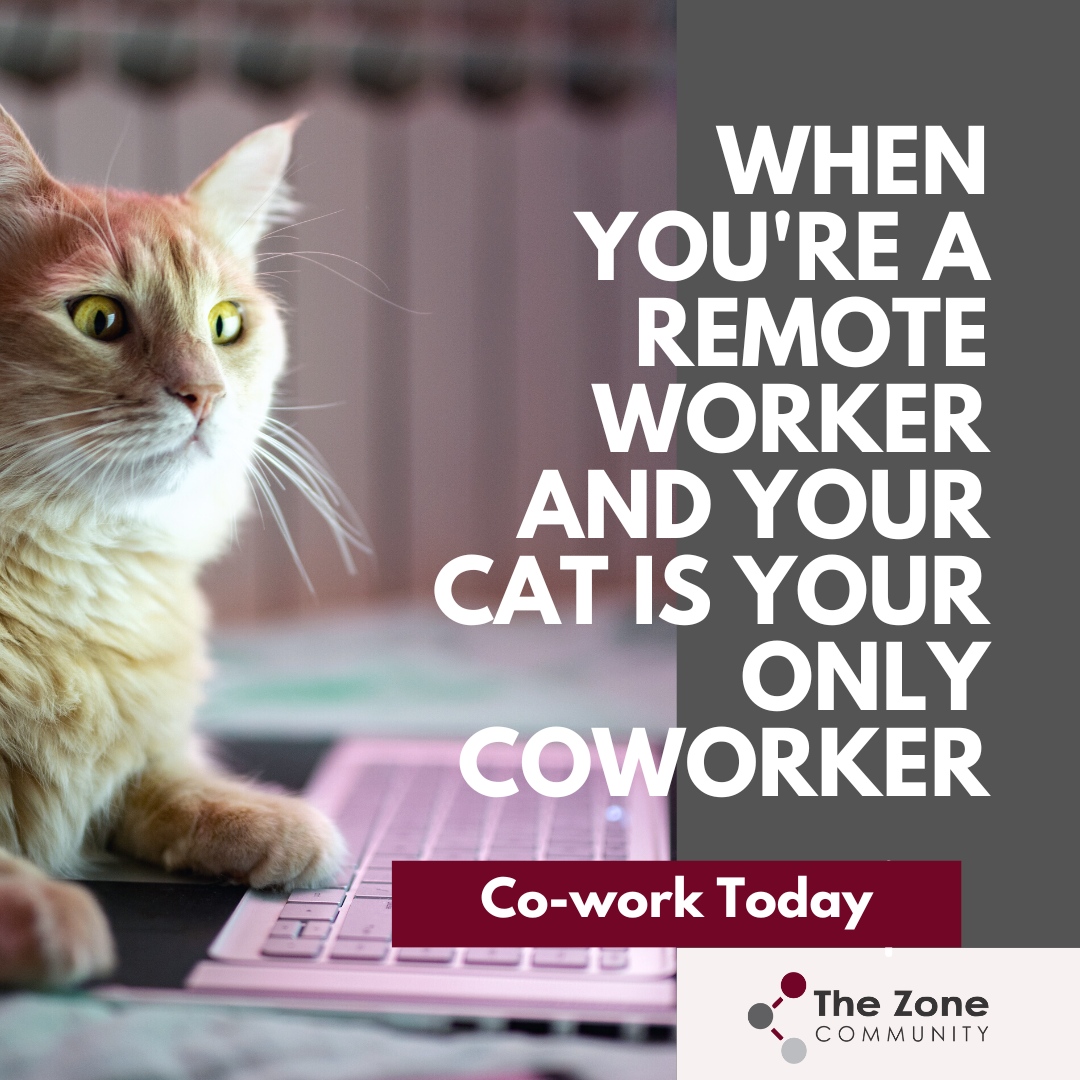 Reimagine Work with Pam tweet media