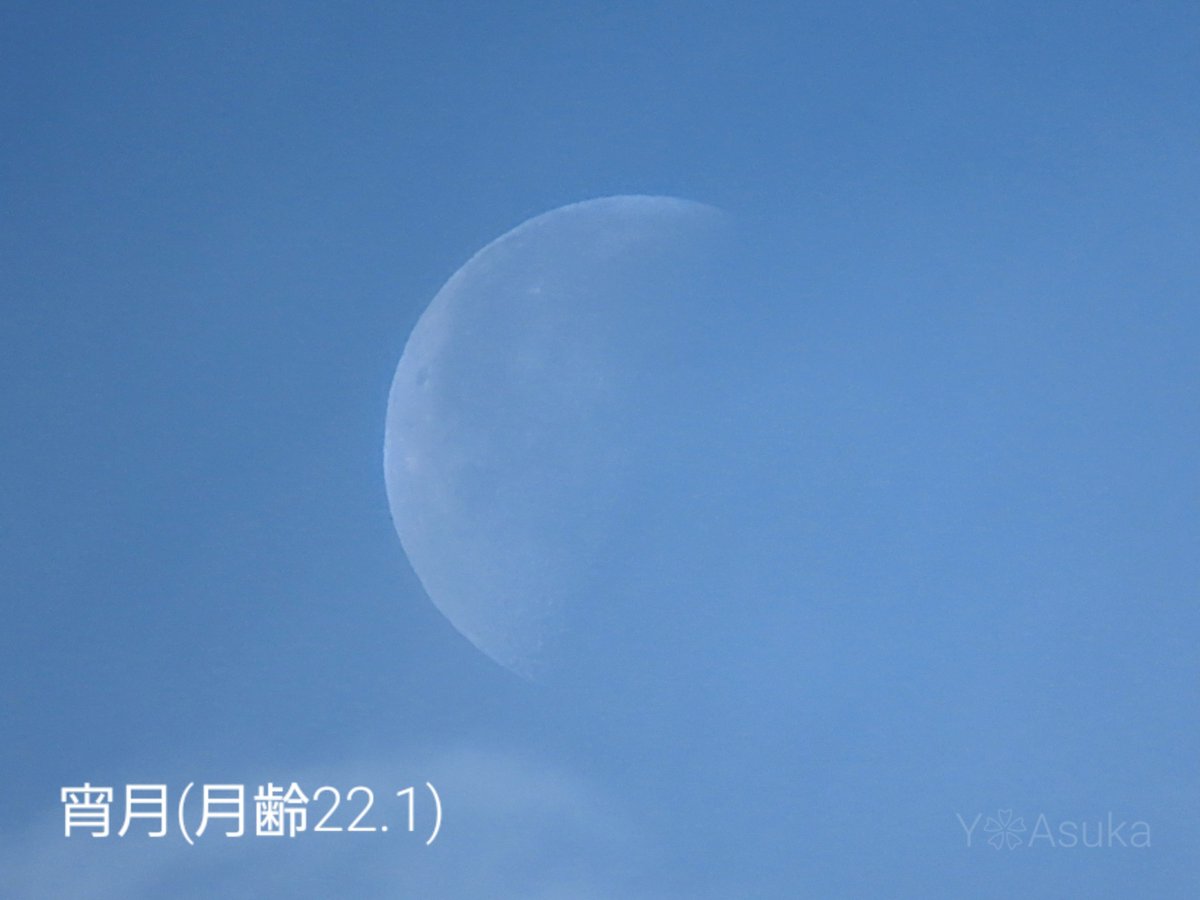 yumeasutw's tweet photo. #青空 が広がり始めた木曜日の朝🌥️
西の空に #下弦 前の白い🌗 #宵月 (月齢22.1)

予想最高/最低気温🌡️14℃/1℃
曇りのち晴れ☁️→☀️
午後は晴れて北風が強そうです🌬️➰🍂

#イマツキ #月 #moon
#イマソラ
#空の名前
#天気の図鑑
#気象のはなし
#高積雲 #巻雲
#日光連山
#a2024  #a0104 #a202401 https://t.co/lILzGtpTk8
