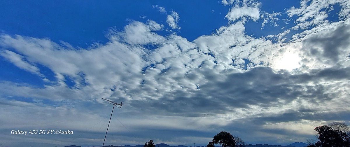 yumeasutw's tweet photo. #青空 が広がり始めた木曜日の朝🌥️
西の空に #下弦 前の白い🌗 #宵月 (月齢22.1)

予想最高/最低気温🌡️14℃/1℃
曇りのち晴れ☁️→☀️
午後は晴れて北風が強そうです🌬️➰🍂

#イマツキ #月 #moon
#イマソラ
#空の名前
#天気の図鑑
#気象のはなし
#高積雲 #巻雲
#日光連山
#a2024  #a0104 #a202401 https://t.co/lILzGtpTk8