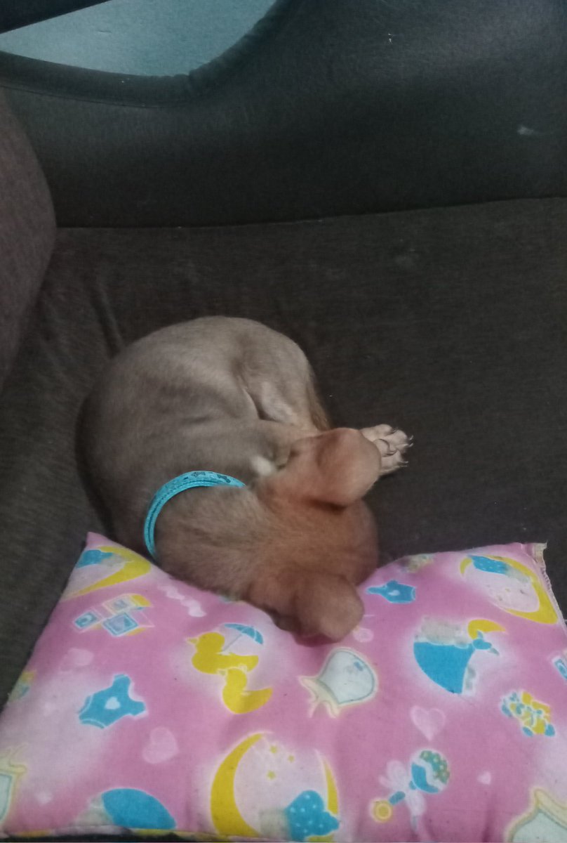 gabi 🥠 tweet media