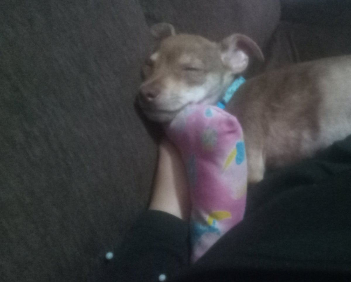 gabi 🥠 tweet media