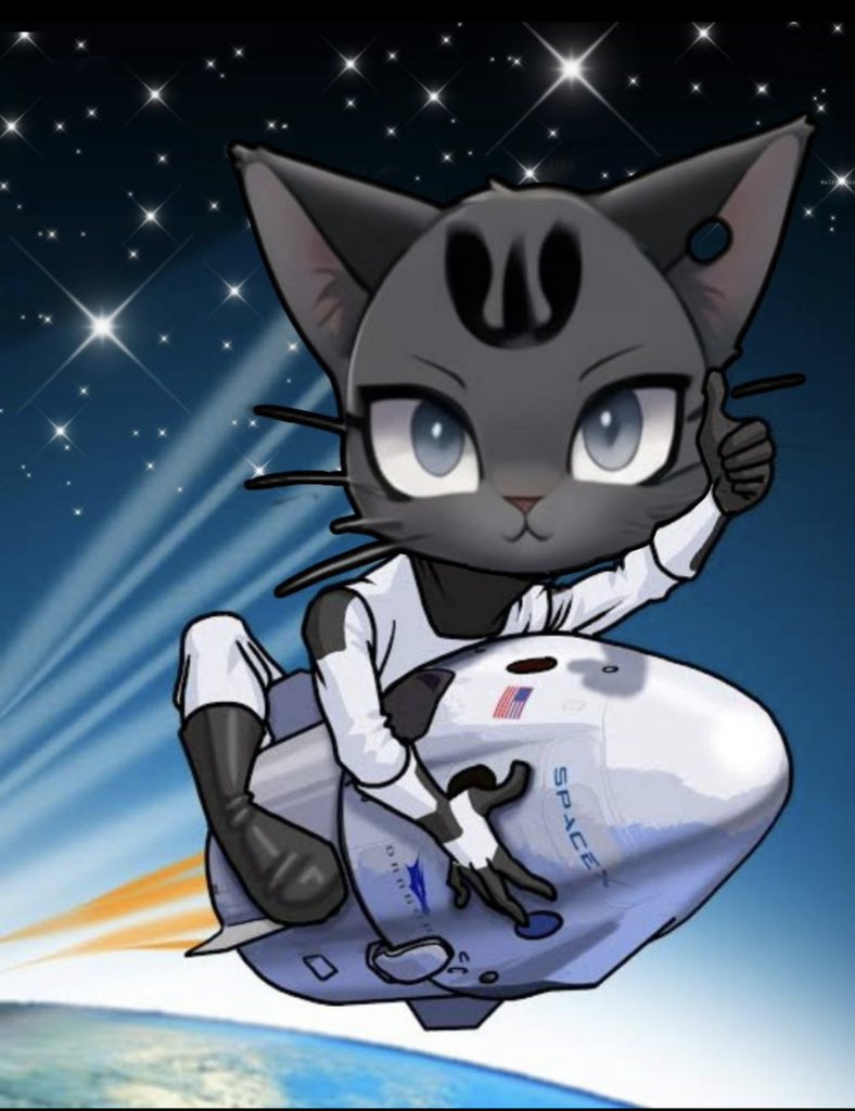 LeiathecatSOL tweet picture