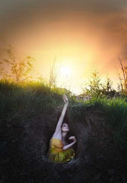 Erotic Ecology 🔞 (@eroticecology) on Twitter photo 