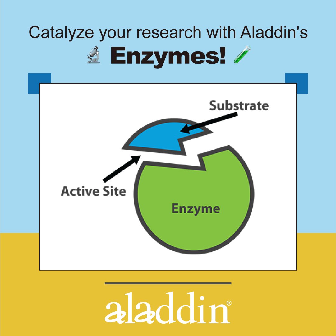 🔬Catalyze your research with Aladdin's Enzymes! 🧬 Explore our enzyme catalog at aladdinsci.com/cat-product/pr…
for reliable and precise tools in molecular biology and biochemistry. #Enzymes #ScientificBreakthroughs #AladdinSci #Innovation