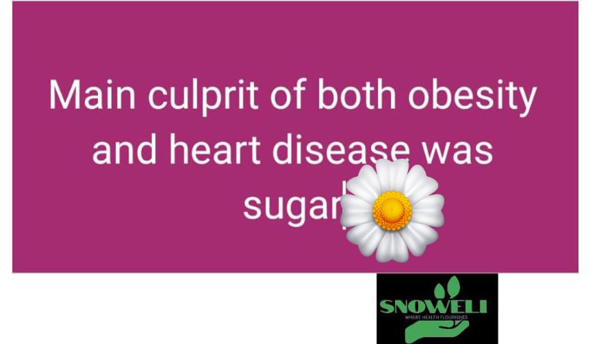 Wellness with Bhaskar (@bhaskarlingamp3) on Twitter photo 