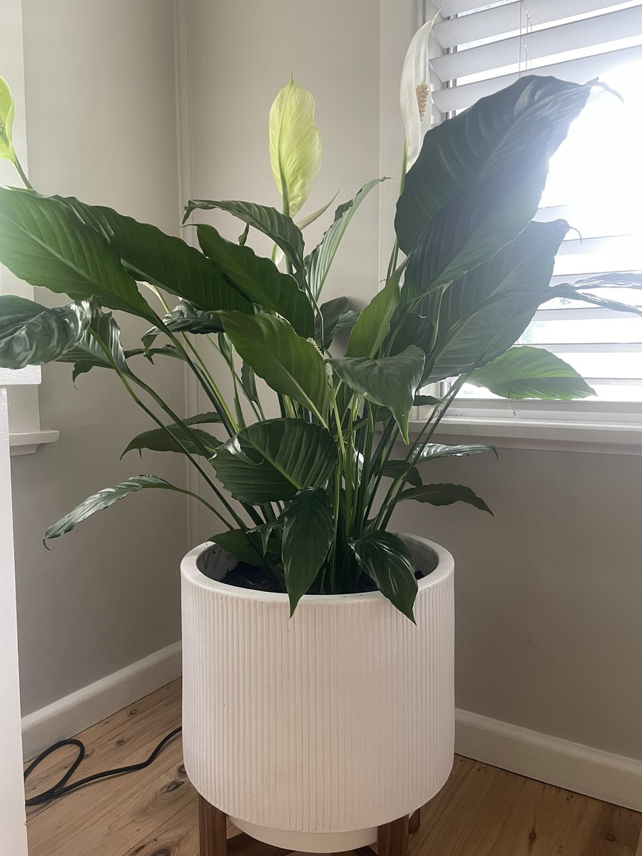 BackyardBiome's tweet image. A Christmas gift from my sister 😊