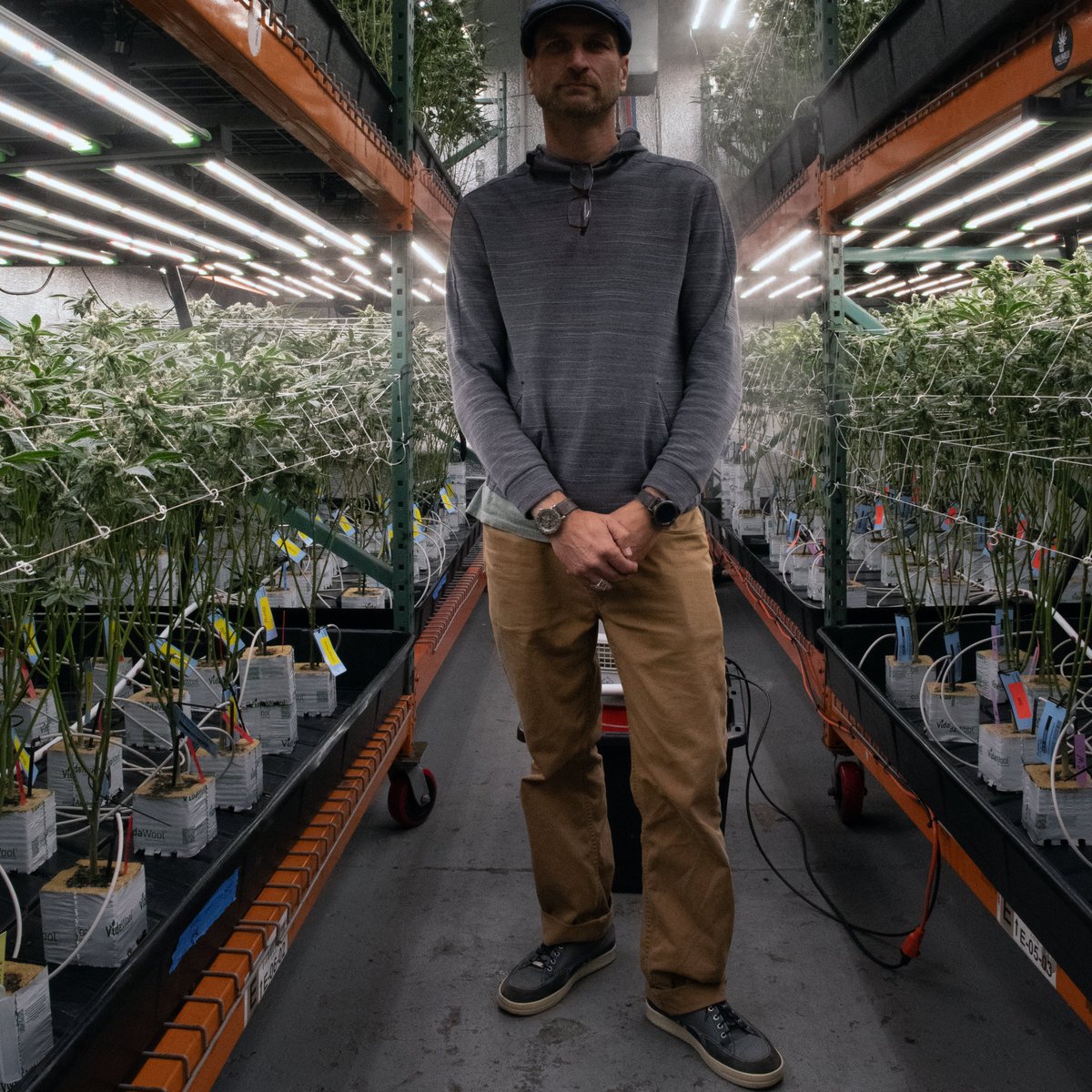 spinzofficial's tweet image. Rad Dad growing daily.