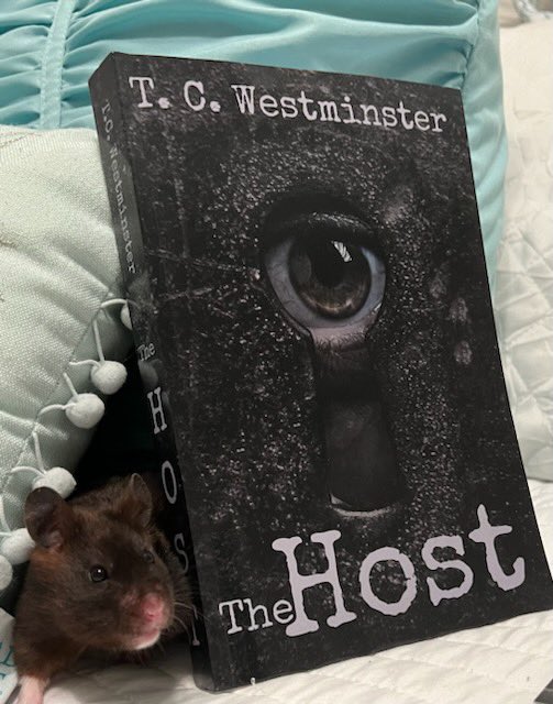 TCWestminster's tweet photo. Bear would not be left out. She wanted to be part of story time too. She was a bit shocked and decided to take cover behind her favorite thriller!
She says:
#ImNotScaredYoureScared https://t.co/I8DtFBhQ8T