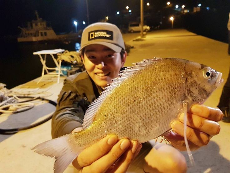 <a href="/_seorinaa/">Ina.</a> happy birthday 🎂🎉 wish you all the best!  Ini ikan hiu buat km. Semoga suka!