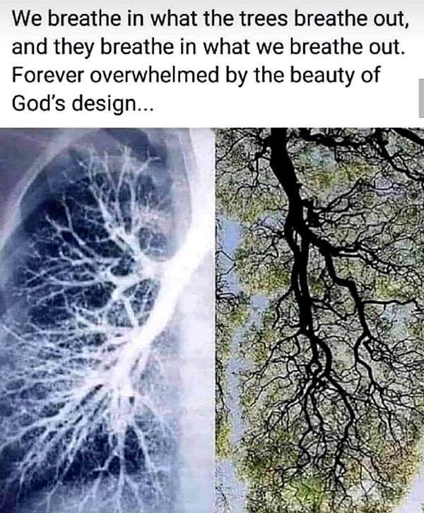 freemonotheist's tweet image. #NoDesign😎