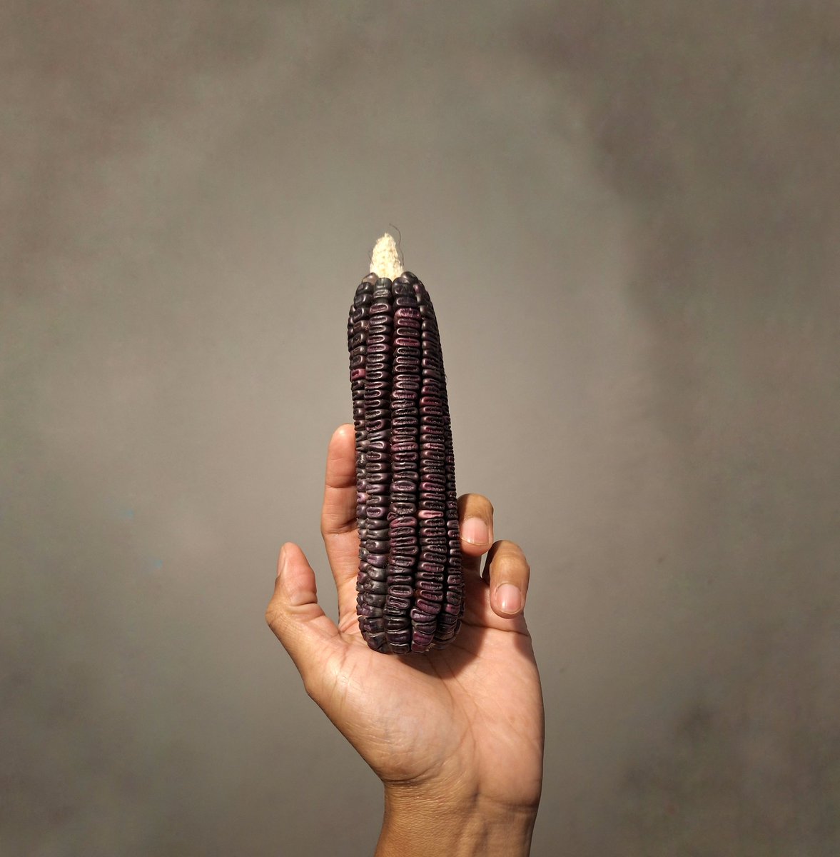 A darle, que es maíz criollo...

Feria Estatal de la Agrobiodiversidad.

Ejido Unión Zapata, San Pablo Villa de Mitla, #Oaxaca.

#SinMaízNoHayPaís🌽