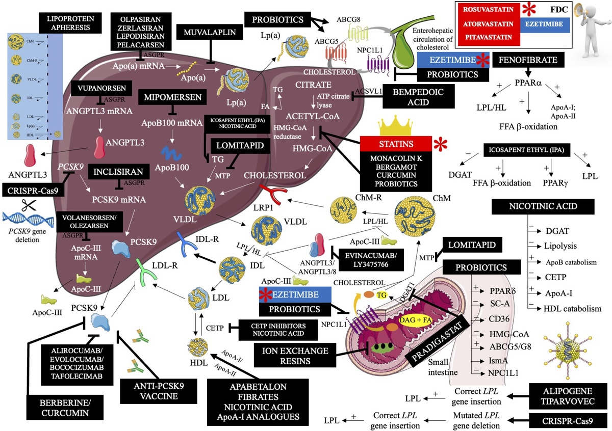 RunWalkSki's tweet photo. @ZiemniakKaren @JReinerMD How many state of the art can you find on this chart? 😂🤣. Start now. https://t.co/pXahf4L1FU