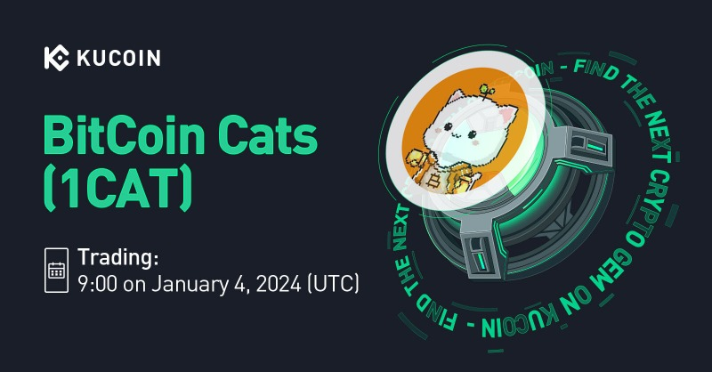 Bitcoin Cats tweet media