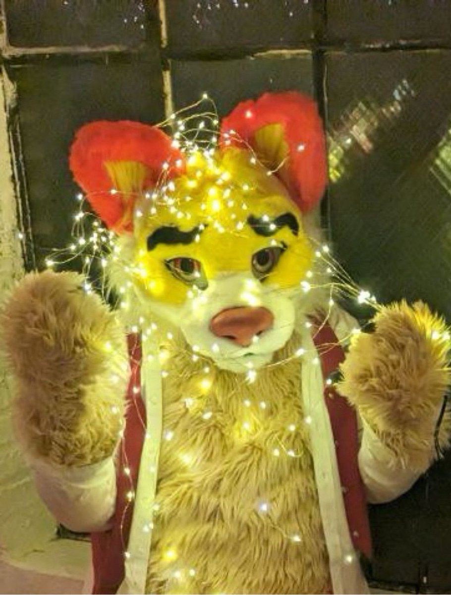 SnarfWolf's tweet photo. These lights… are the worst… snarrff https://t.co/blpT60HKKV