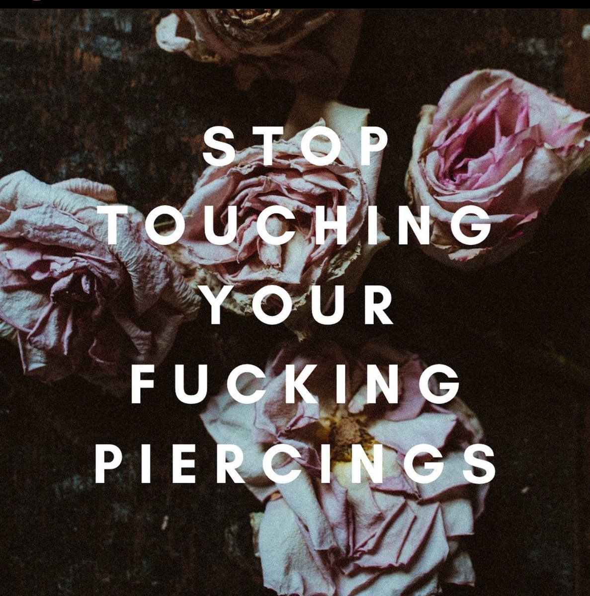 spacecase__'s tweet image. 