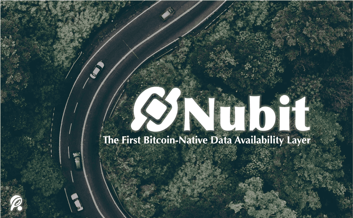 1/ Introducing Nubit: The First Bitcoin-native Data Availability Layer

Riema Labs completed angel investment and is thrilled to introduce Nubit, backed by the founders of <a href="/bounce_finance/">Bounce Brand</a>, <a href="/domodata/">domo</a>, and many others.
