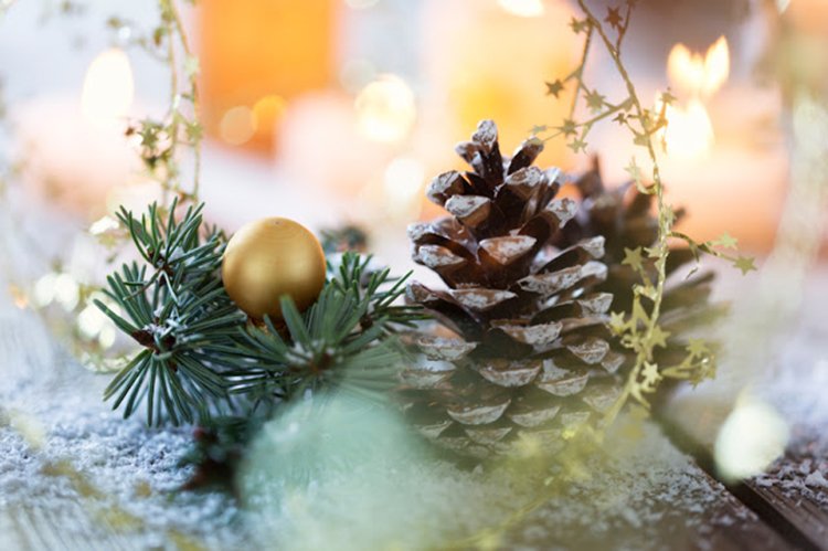 MRTfotografie's tweet photo. Goedemorgen!
#weekendleesvoer
Hoe maak je sfeervolle kerstfoto's: https://t.co/oNT2Bca71s
Hele fijne en warme kerstdagen iedereen!๐๐ซ๐
โจ๏ธ https://t.co/cUxsEEWlEy