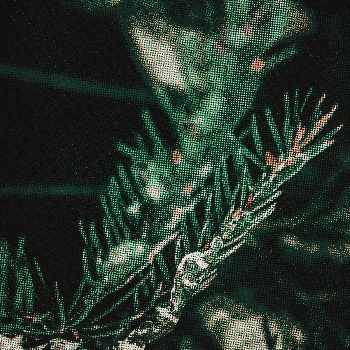 Permanent Loss tweet media