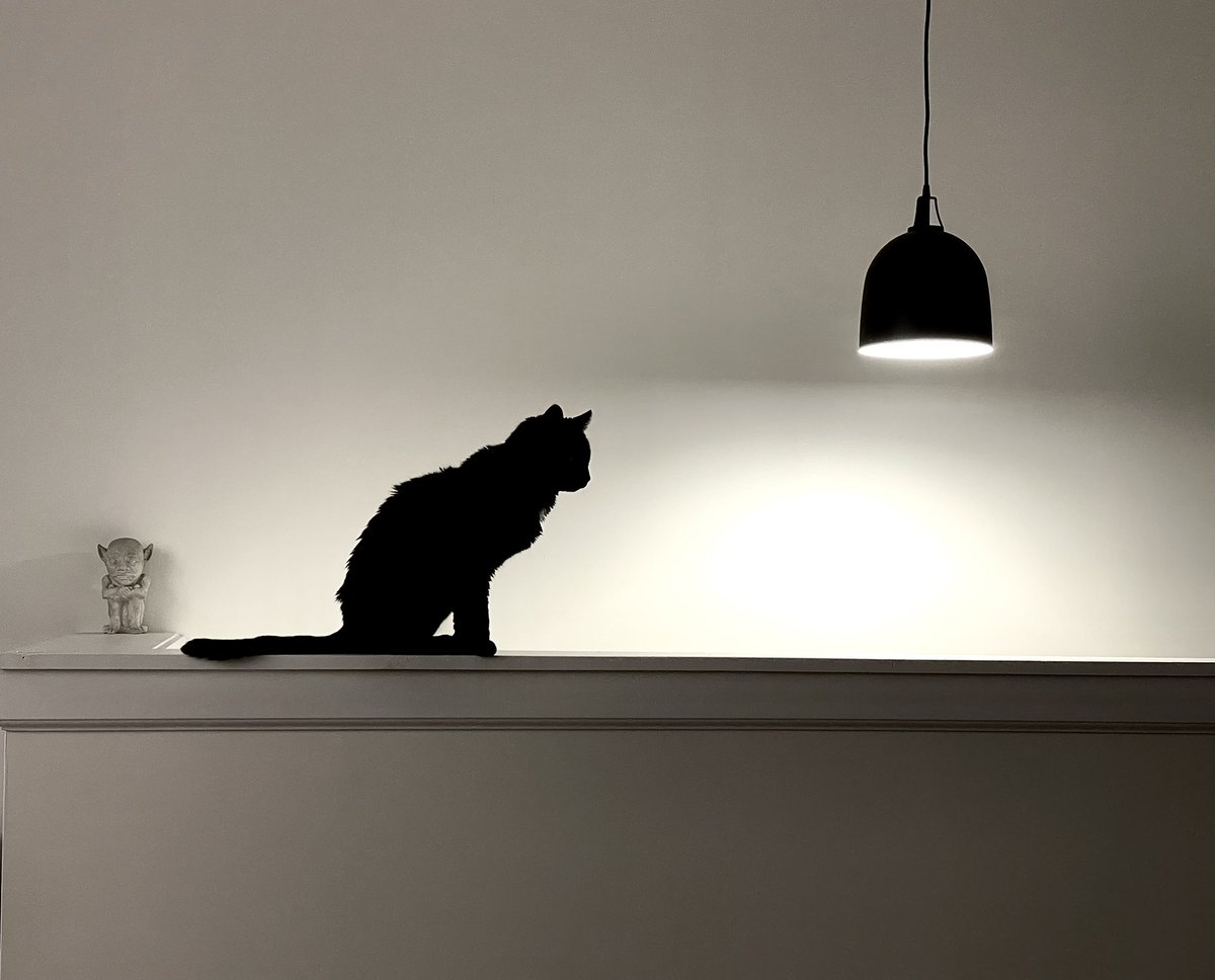 Only1Sable's tweet image. We had to say goodbye to our sweet girl Tiki after 17 great years. The incredible service from @chewy when cancelling her meds was quick &amp;amp; each email received shared genuine heartfelt care &amp;amp; sympathy. Today I rec'd these beautiful flowers. Thank you for being so amazing Chewy🐈‍⬛❤️