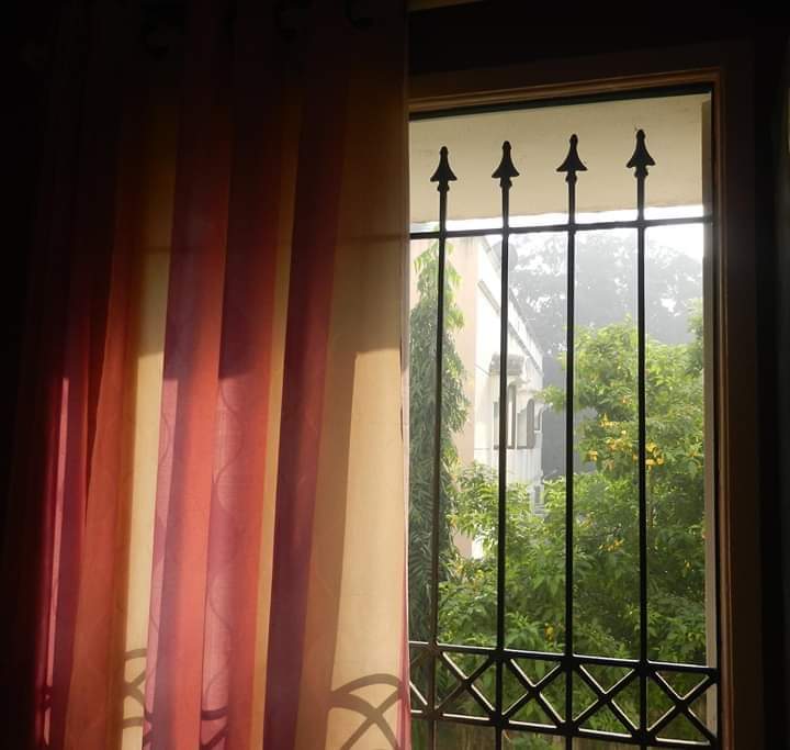 Madhumathi_Inks's tweet photo. "பனித்துளிகளாலான திரைச்சீலை 

கையில் தேநீர் கோப்பையும் 
கண்களில் கனவுகளும் 
தாளில் துளிர்த்த சிறு கவிதையும்

பொன்னொளிக்கதிர் கொண்டு 
கைகுலுக்கியது 
கதகதப்பான சூரியன்"

#மார்கழி #AllThingsTea  #MadhumathiKavidhaigaL #Poetry #Tamil #Dewdrops #WinterMornings #Mist #Writers #Blogger https://t.co/jf78GmRdp6