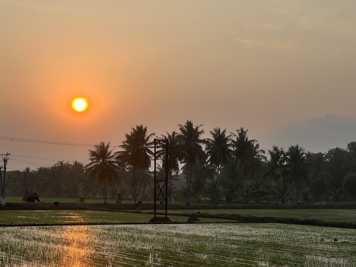 indianbybirth25's tweet image. Rear side of #Aduthurai railway station, Tamil Nadu ☀️