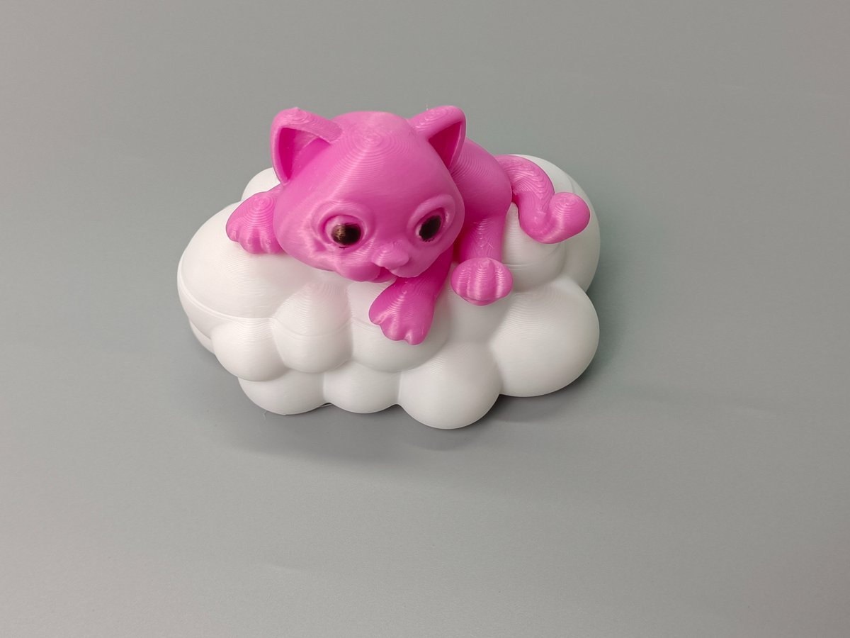 geeetech's tweet photo. The cutest ever within half year! Hello✨, Kitty on the cloud🥰
🎨Filament: geeetech hs pink pla, white pla
.
🎊Find out more hot-sellers for 3d printing & 3d printers, pls check:
https://t.co/MBxwSLepkt
.
#3dpetmodel #cats #fdmprinter #filament #geeetech #geeetechfilament https://t.co/lCu0dEL84R