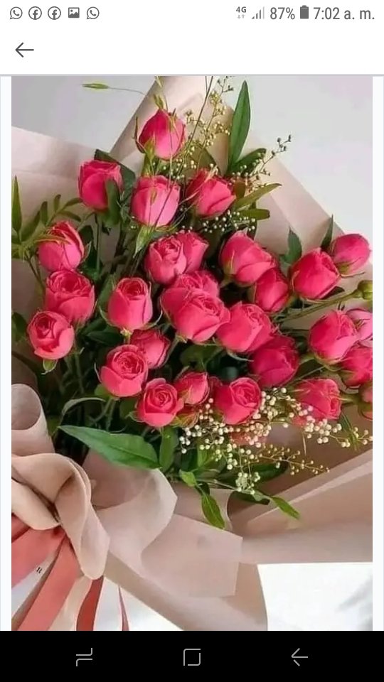 atenas_cuba's tweet photo. @MPaula851203 @CeciCuba @Xotchil73962208 @DeZurdaTeam_ @roberticopp @AcostaRoly @7Mararodriguez Amigas para siempre #MPaula. Este ramo de rosas es para tí. #ALaZurdaSeFormó #DeZurdaTeam https://t.co/rjXQL90Xh2