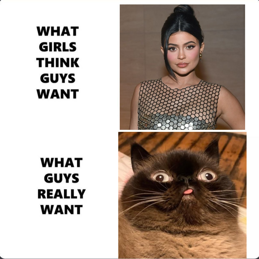 Cameron_eth2's tweet photo. @DERPCATSOLANA Men only want one thing. Sorry @kyliejenner
@DERPCATSOLANA
#DERPCAT $DERPCAT https://t.co/2fJ70b9efd