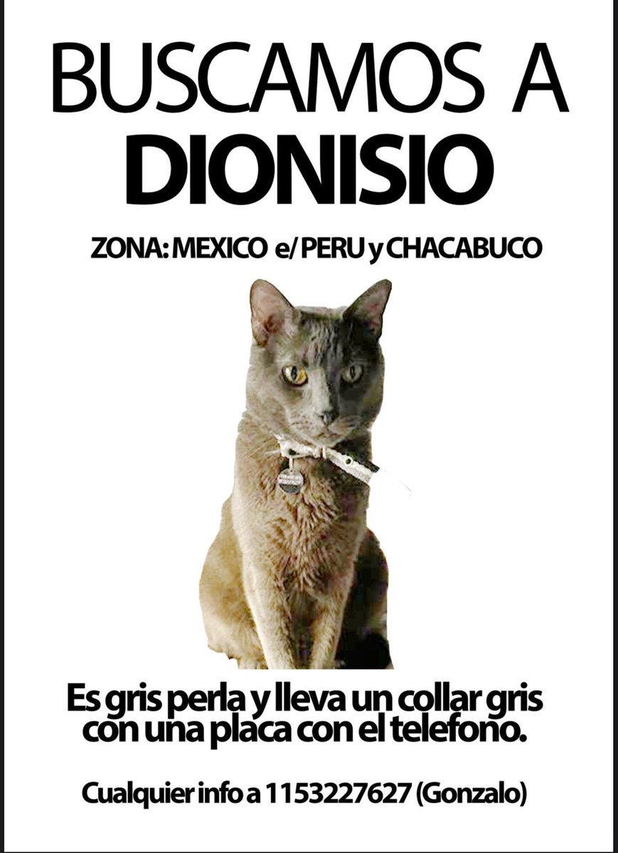 Se perdió mi gatito Dionisio en zona San Telmo/Monserrat (México e/ Peru y Chacabuco). 
Es gris y llevaba chapita con el nro de cel. Lo extrañamos muchísimo, cualquier novedad al 1153227627. Me ayudas con un RT?