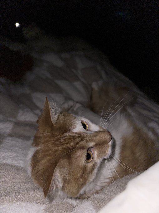 Eepy https://t.co/tw83JRHG9N