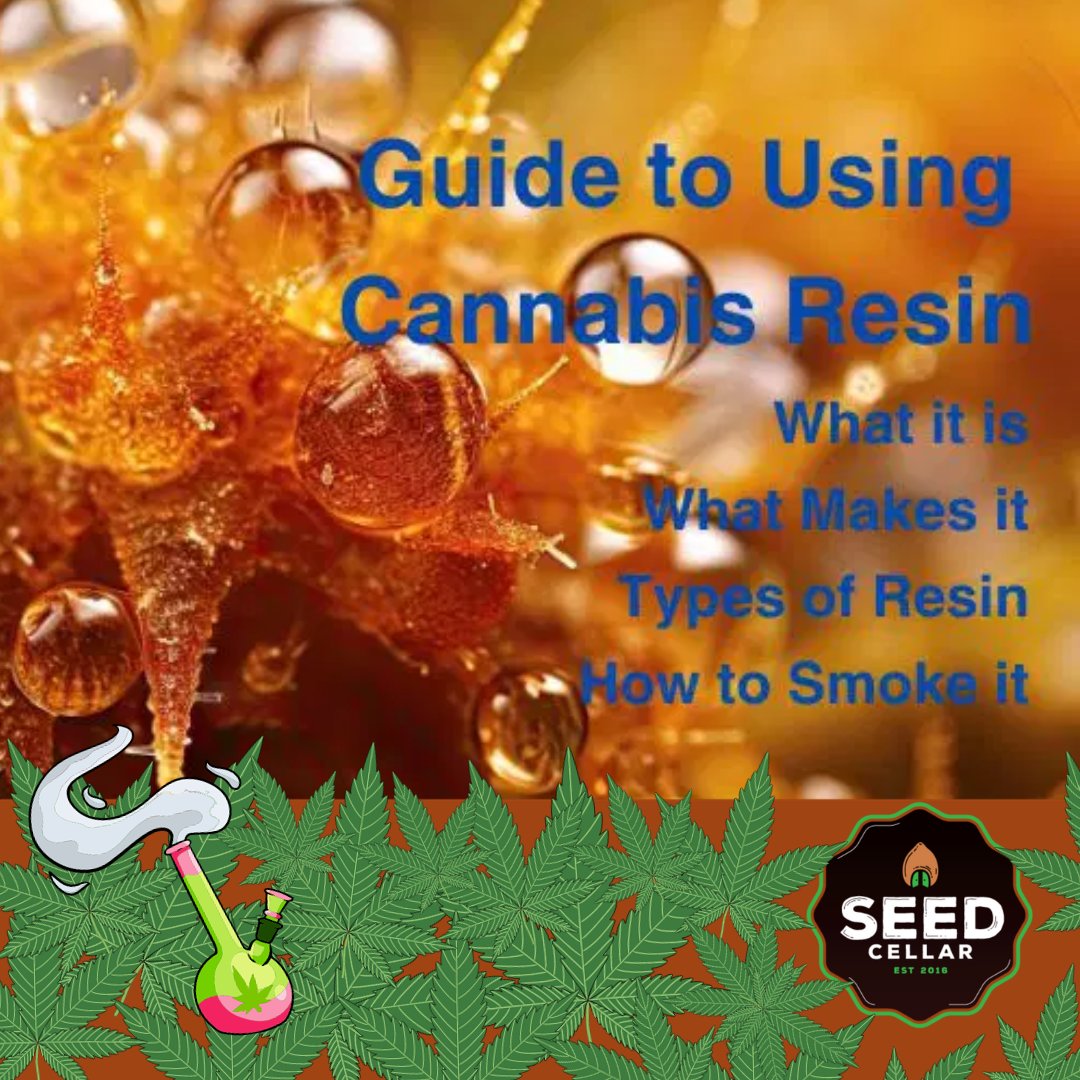Resin is a beautiful golden, amber color and highly concentrated - learn the different types and how to use it!
rpb.li/94NEb1

#SeedCellar
#growyourown
#howtogrow
#cannabisseeds