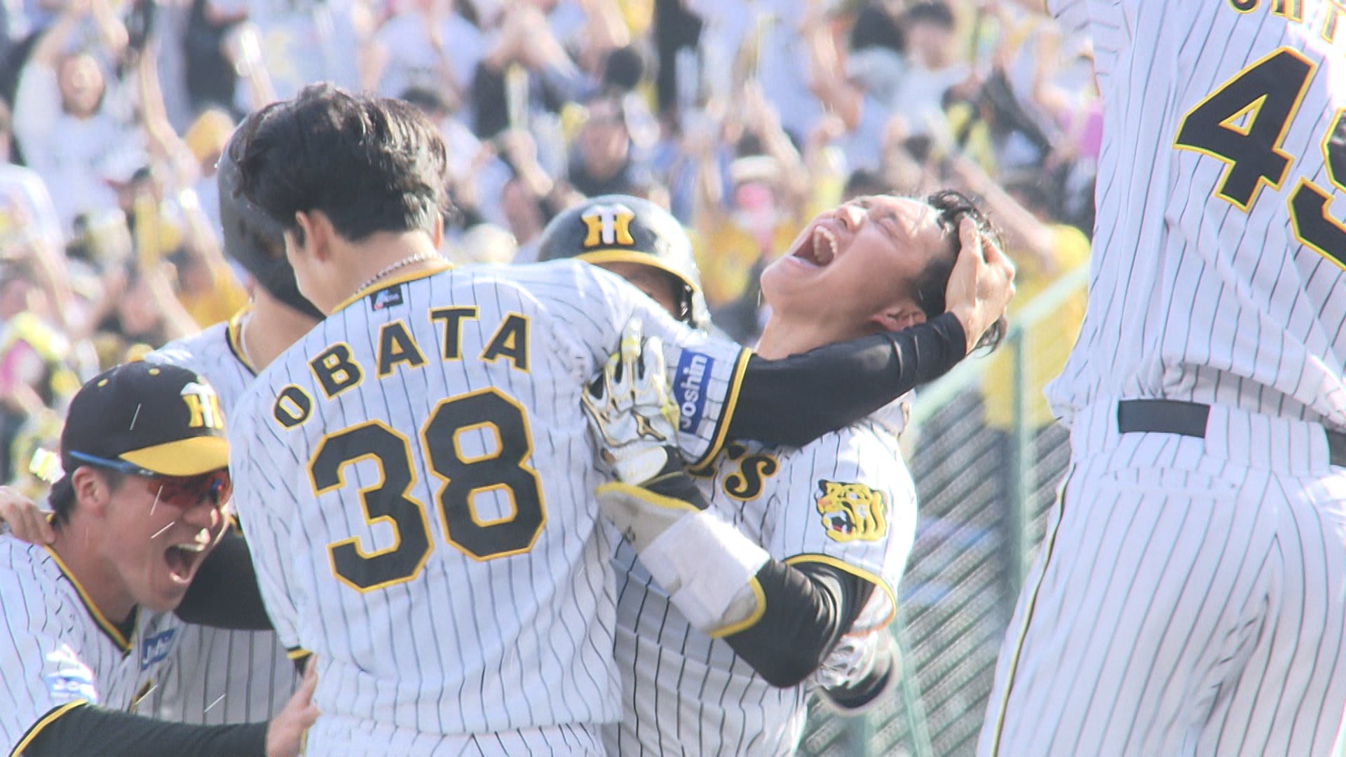 映画「阪神タイガースTHEMOVIE2023-栄光のARE-」公式【12月15 映画「阪神タイガースTHEMOVIE2023-栄光のARE-」公式【12月15