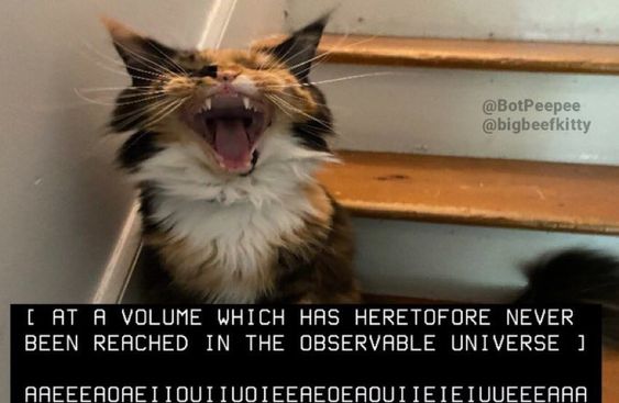 ‍ ‍ ‍ ‍ ‍∕ ∕ ‍ ‍ ‍𝔦𝐧𝐥𝐞́ .ᐟ‍ (@rabitfvt) on Twitter photo 