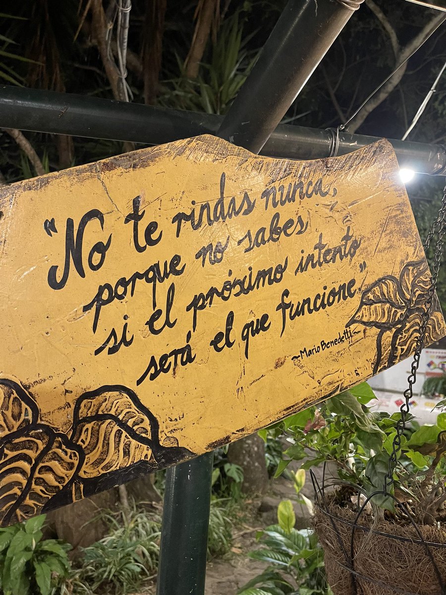 malejandrohv's tweet photo. La lección del año. https://t.co/UFzXyX1mLf