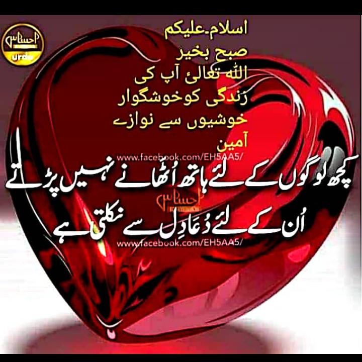 Syed Writs✨️ tweet media