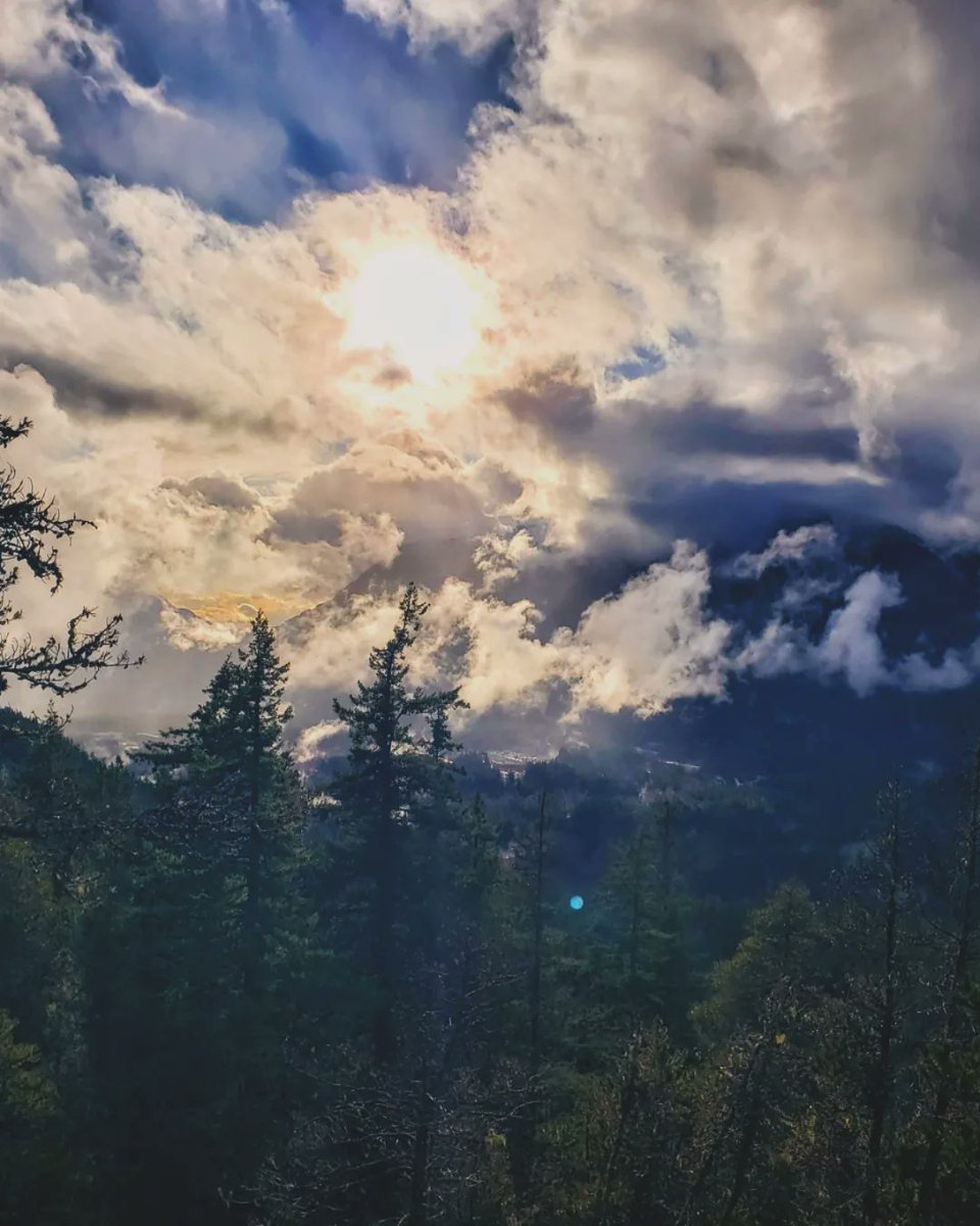 Another lovely trail in Squamish
