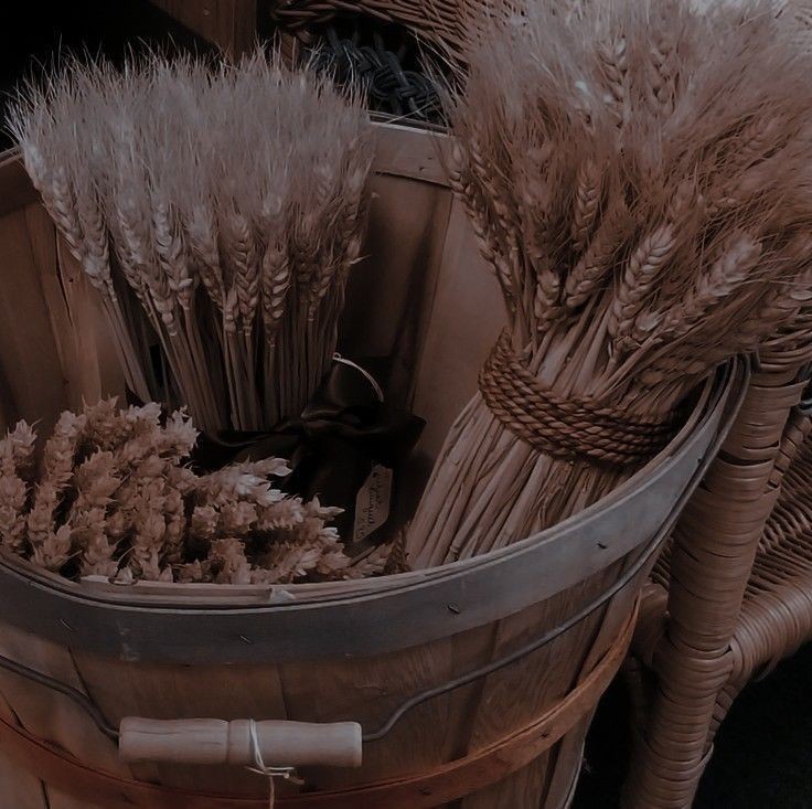 issDemeter's tweet image. 𖠰𝐆𝐨𝐝 𝐨𝐟 𝐚𝐠𝐫𝐢𝐜𝐮𝐥𝐭𝐮𝐫𝐞 𝐚𝐧𝐝 𝐟𝐞𝐫𝐭𝐢𝐥𝐢𝐭𝐲.𖠰

           𖠰𝐏𝐞𝐫𝐬𝐞𝐩𝐡𝐨𝐧𝐞'𝐬 𝐝𝐚𝐝.𖠰

 ☆࿐ཽ༵༆༒ 𝑫𝒆𝒎𝒆𝒕𝒆𝒓 ༒༆࿐ཽ༵☆
                 —— ♡ &amp;amp; ↻ ——