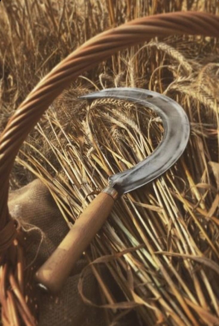 issDemeter's tweet image. 𖠰𝐆𝐨𝐝 𝐨𝐟 𝐚𝐠𝐫𝐢𝐜𝐮𝐥𝐭𝐮𝐫𝐞 𝐚𝐧𝐝 𝐟𝐞𝐫𝐭𝐢𝐥𝐢𝐭𝐲.𖠰

           𖠰𝐏𝐞𝐫𝐬𝐞𝐩𝐡𝐨𝐧𝐞'𝐬 𝐝𝐚𝐝.𖠰

 ☆࿐ཽ༵༆༒ 𝑫𝒆𝒎𝒆𝒕𝒆𝒓 ༒༆࿐ཽ༵☆
                 —— ♡ &amp;amp; ↻ ——