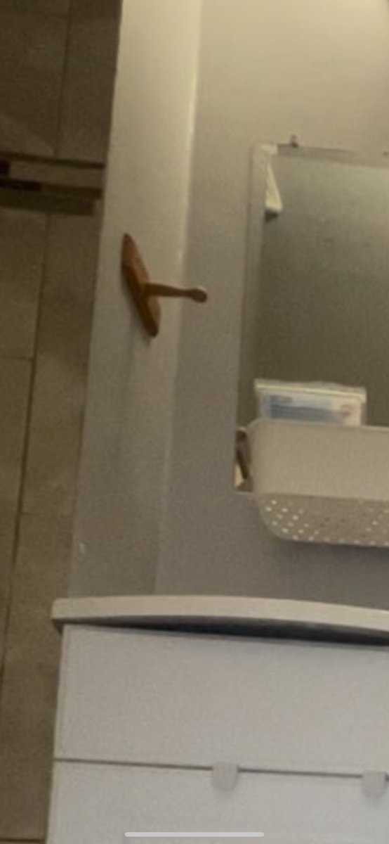 rameybrett5's tweet photo. @SureLock__ What we see                  What the toilet sees https://t.co/13mBYPlVYU