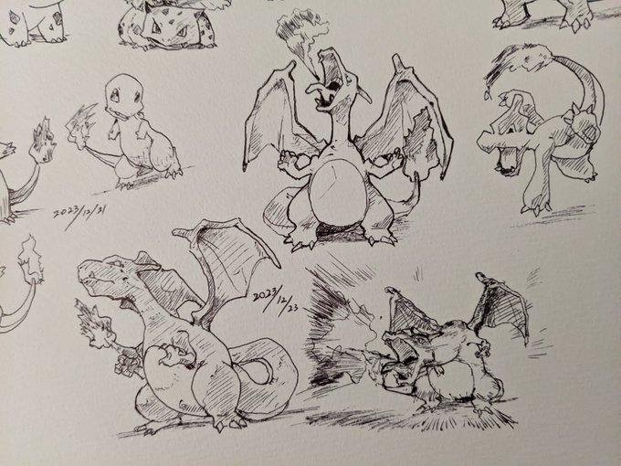 思い出が詰まり過ぎてて一言コメントに困るリザードンさん さすが初代のパッケージ飾ることだけあるで〜 カキカキ。 