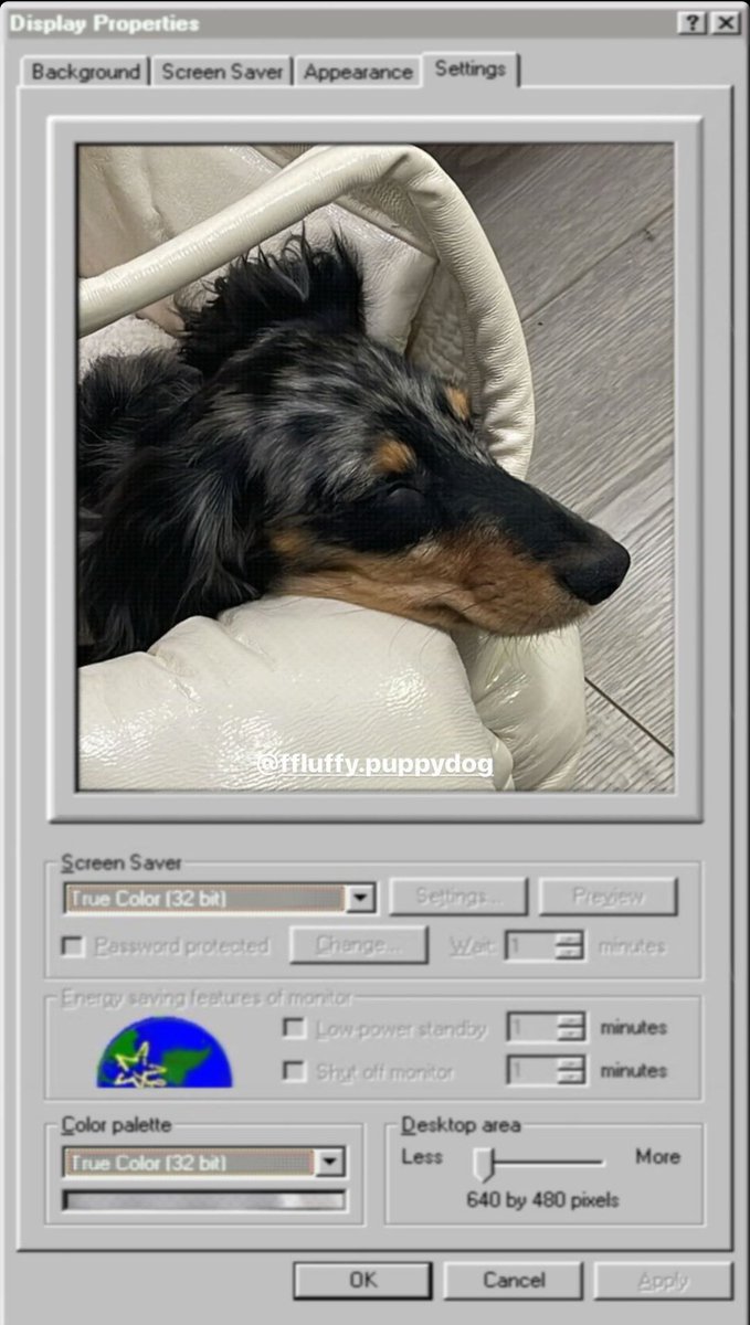 fluffy_freen's tweet image. 📷 Fluffy vía title_sittinawawit IG Story

Baby 🐶🤎

#srchafreen #Fluffy