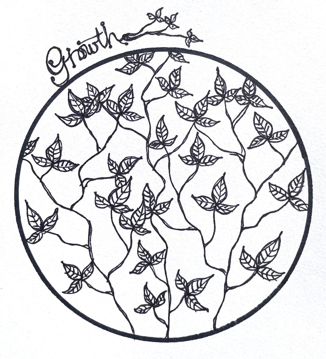 ItsMissShorty's tweet photo. 🌱 #greenandgrowing #grow #growth #mandala #tdm #thedailymandala #arttherapy #blackandwhite #sharpieart @shannonshaming #mindfulcouturecrime #jaybonation #jbn #theshamingofjay #heybo https://t.co/F8FDfxMZvu