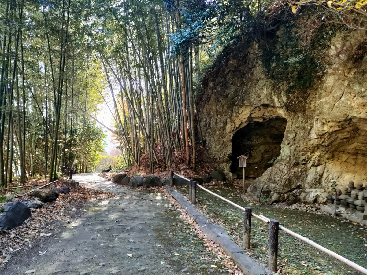 「この間行った鎌倉のやぐら群巡り。圧倒的存在感の瑞泉寺、ひっそりとした浄妙寺奥の延」|諏岸のイラスト
